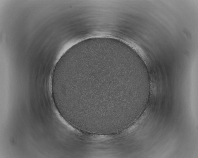 X0000112111382200908181338