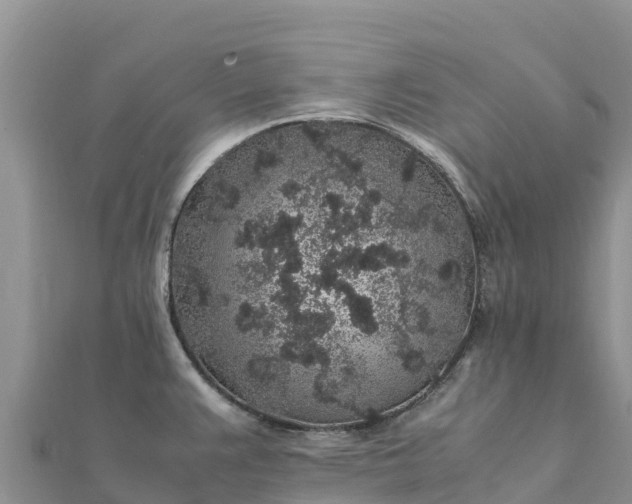 X0000112111383200908181338