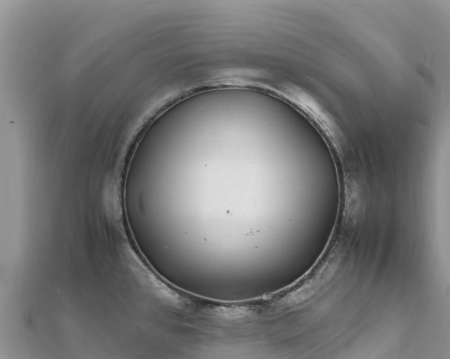 X0000112111384200908181338