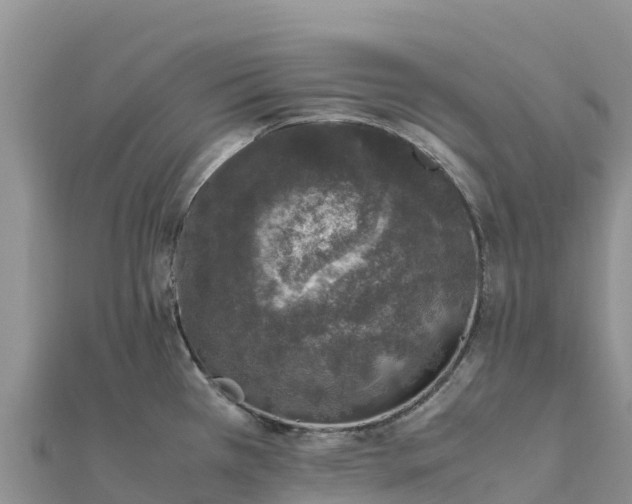 X0000112111385200908181338