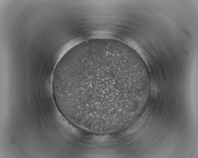 X0000112111386200908181338