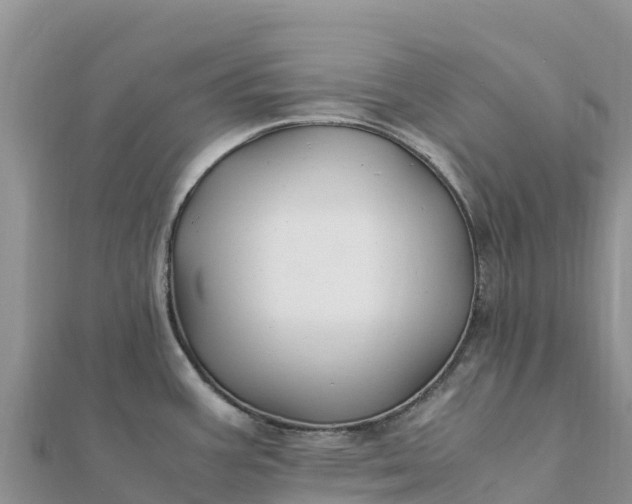 X0000112111387200908181338