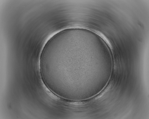 X0000112111388200908181338