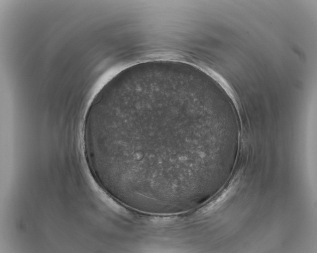 X0000112111389200908181338