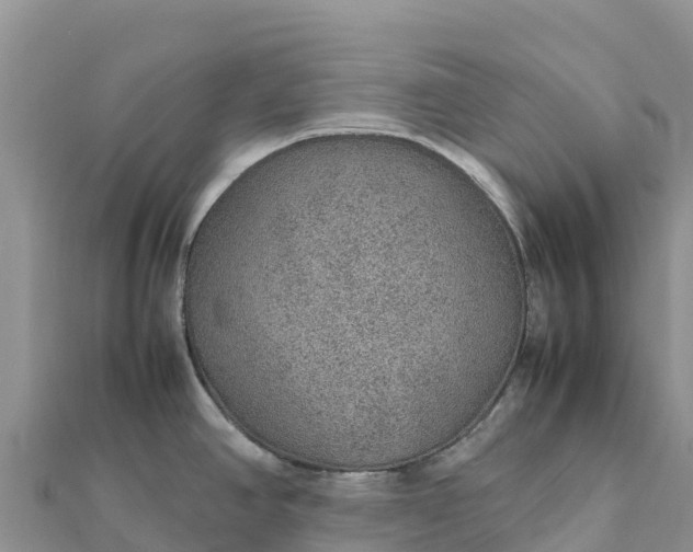 X0000112111390200908181338