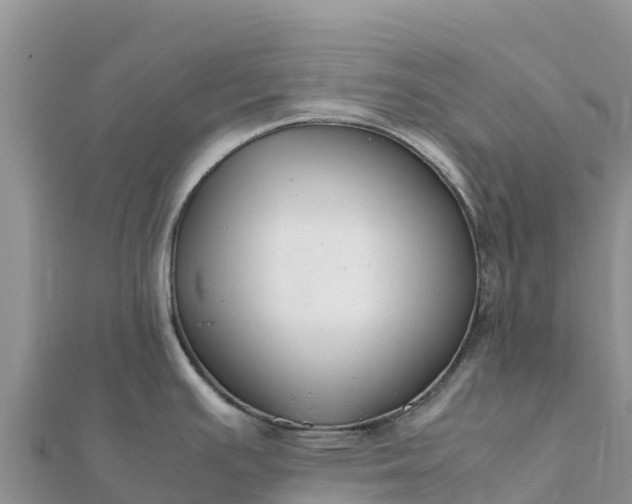 X0000112111391200908181338