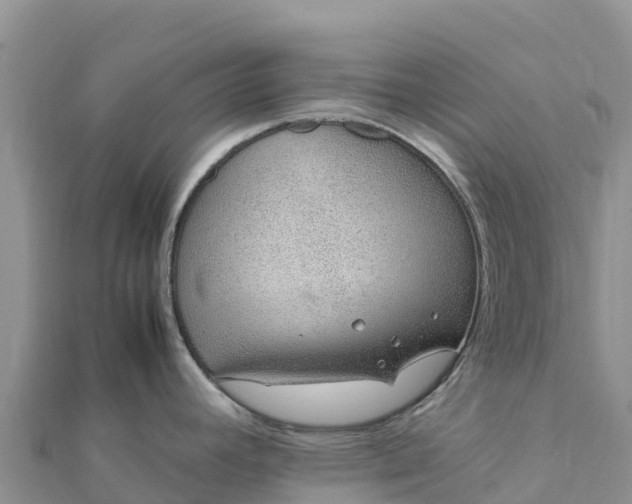 X0000112111392200908181338