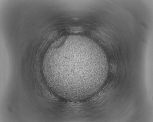 X0000112111393200908181337