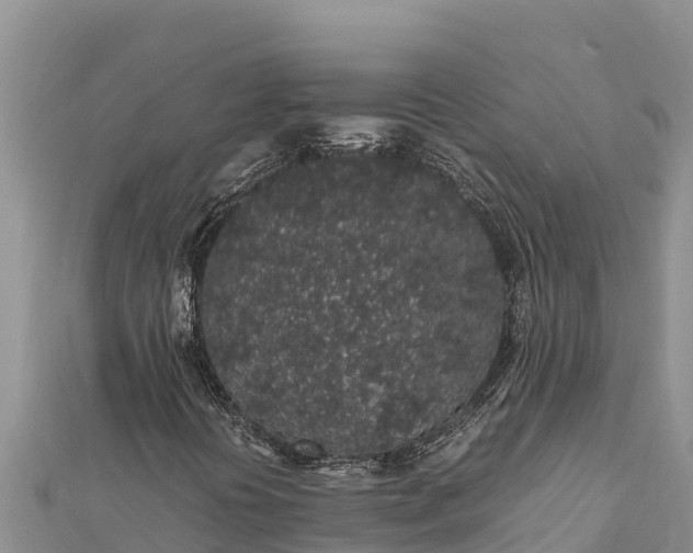 X0000112111394200908181337