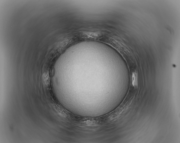 X0000112111395200908181337