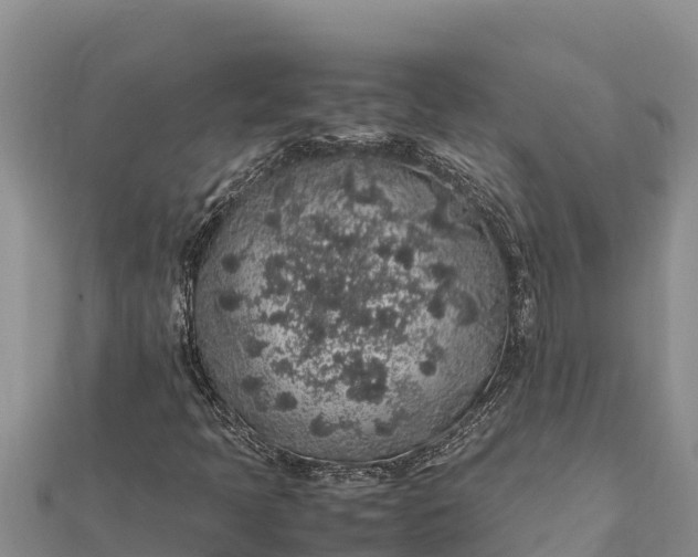 X0000112111397200908181337