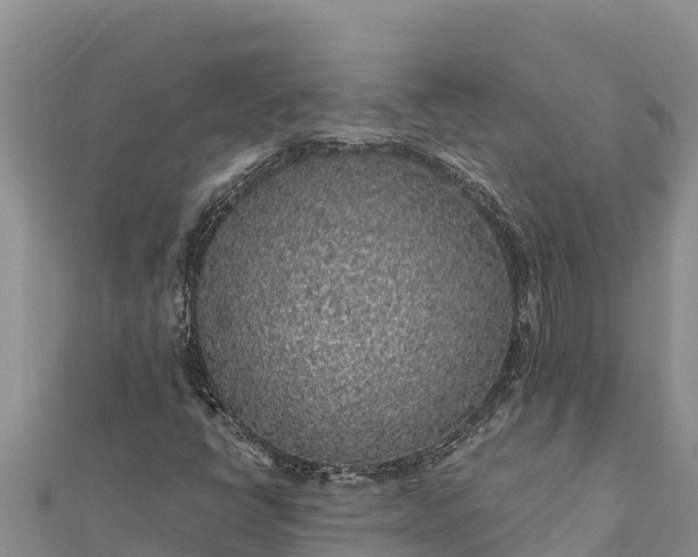 X0000112111398200908181337