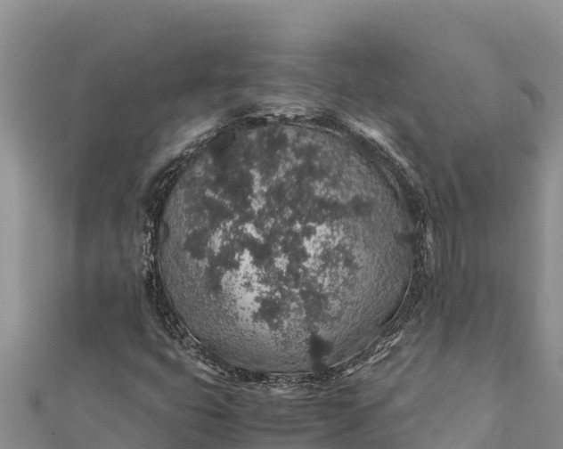 X0000112111399200908181337