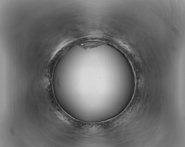 X0000112111400200908181337