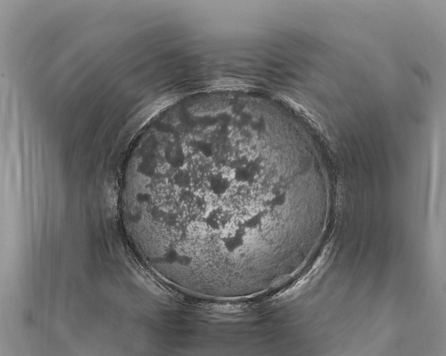 X0000112111401200908181337