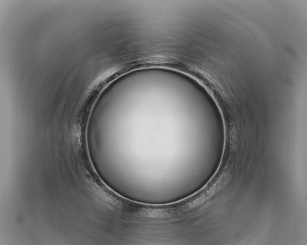 X0000112111402200908181337