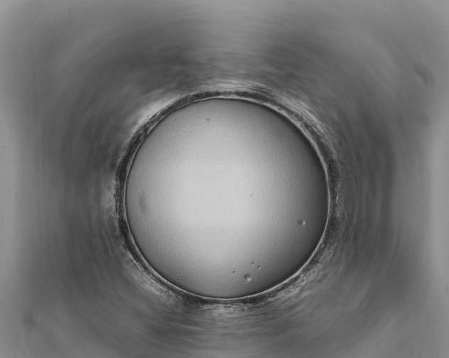 X0000112111404200908181337