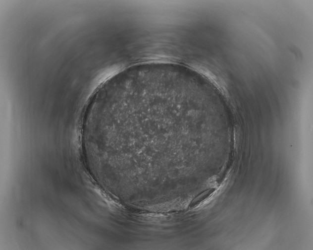 X0000112111405200908181337