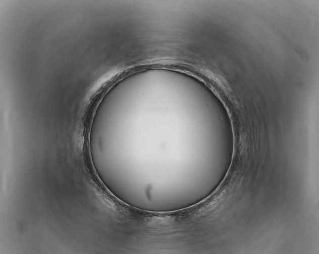 X0000112111406200908181337