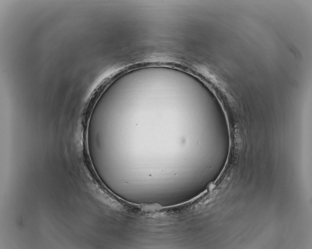 X0000112111408200908181337