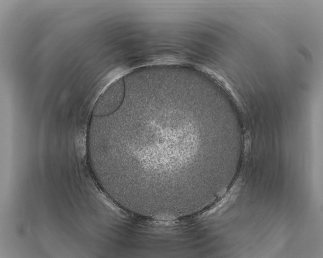 X0000112111409200908181337