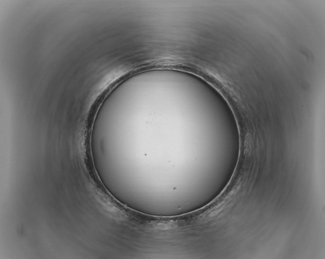 X0000112111410200908181337