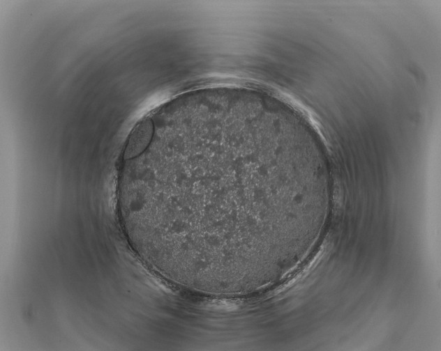 X0000112111411200908181337