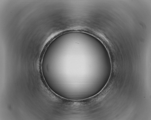 X0000112111412200908181338