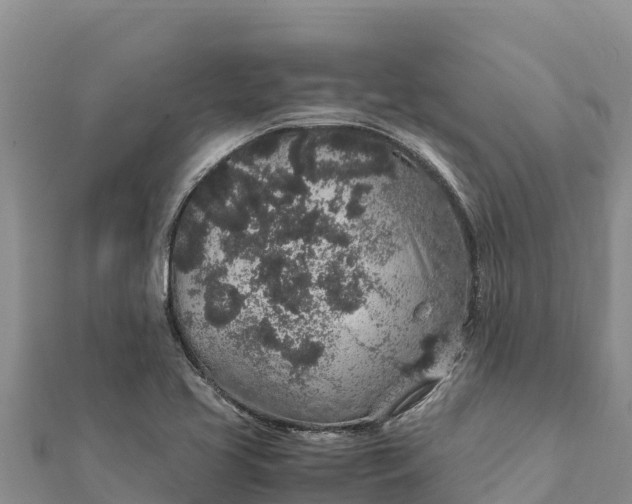 X0000112111413200908181338