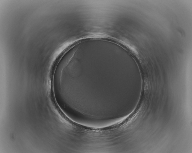 X0000112111414200908181338