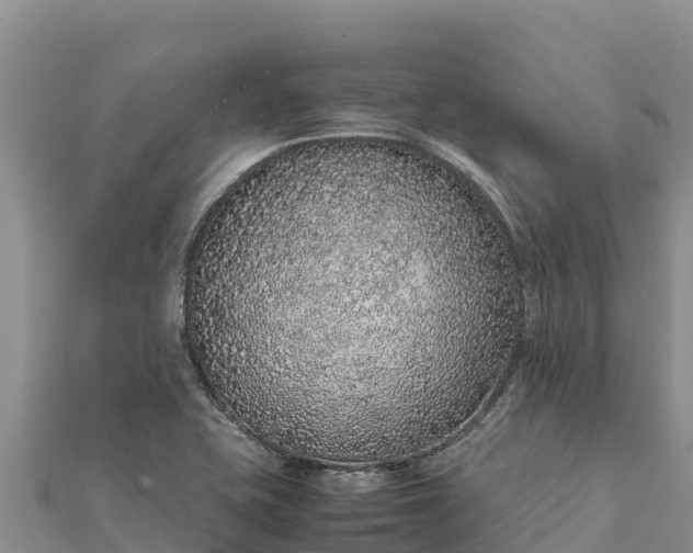 X0000112111415200908181338