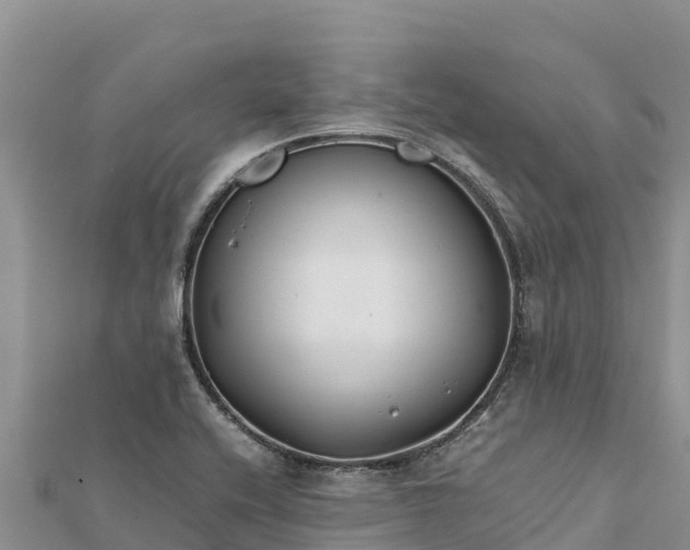 X0000112111416200908181338