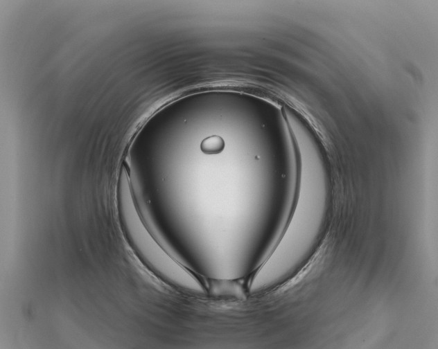 X0000112111417200908181338