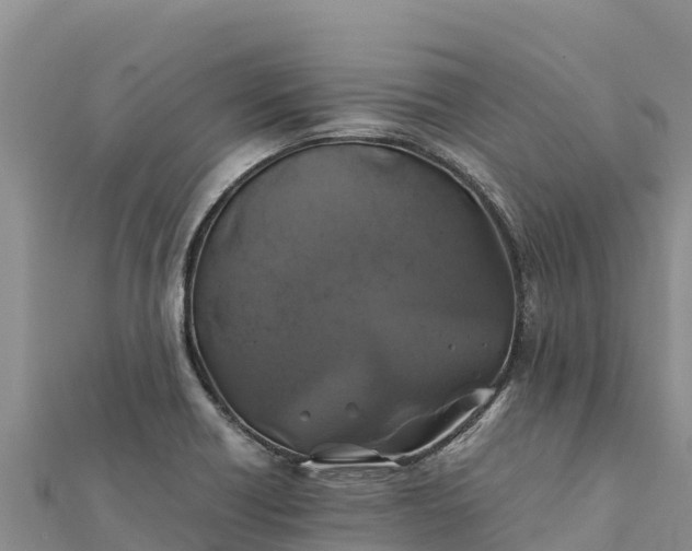 X0000112111418200908181338