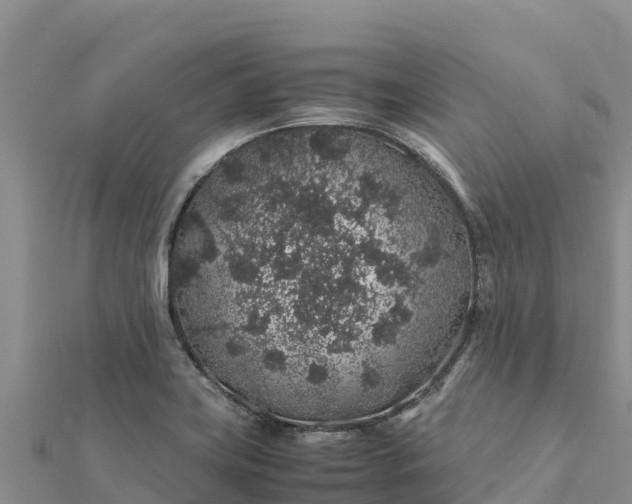 X0000112111419200908181338