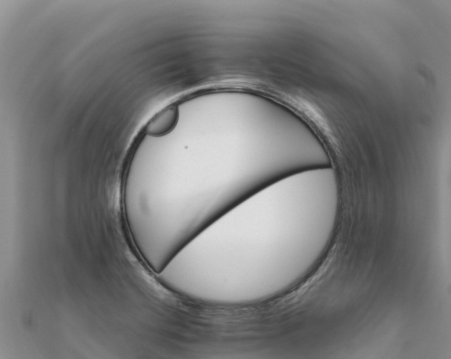 X0000112111420200908181338