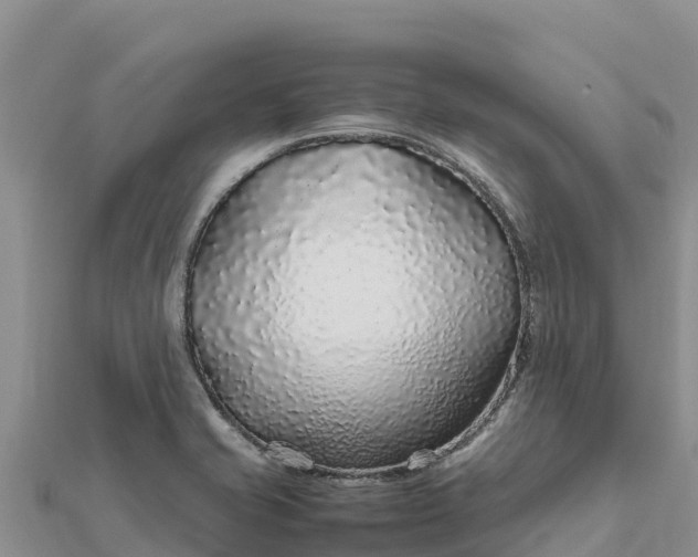 X0000112111421200908181338