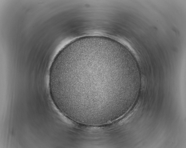 X0000112111424200908181338