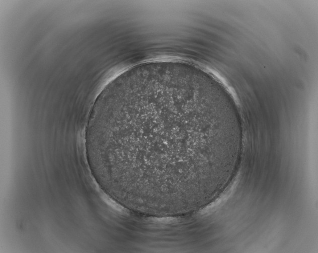 X0000112111425200908181338