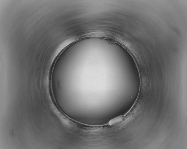 X0000112111426200908181338