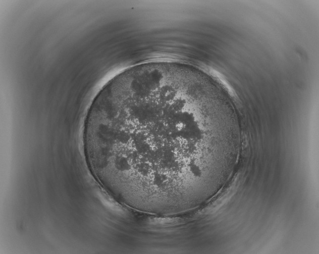 X0000112111427200908181338