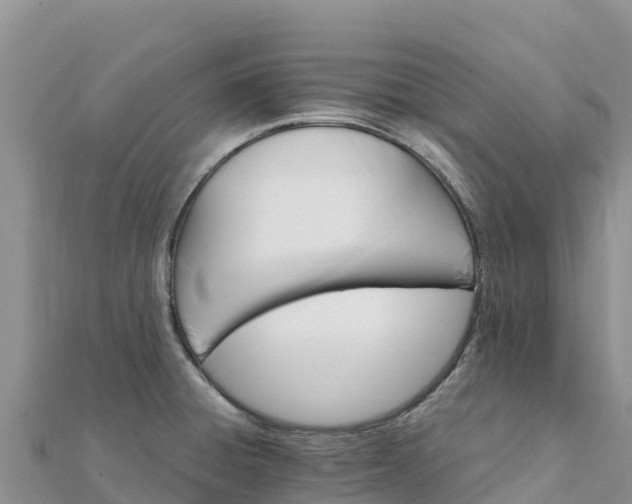 X0000112111428200908181338