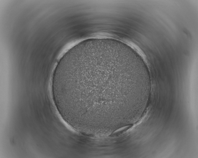 X0000112111429200908181338