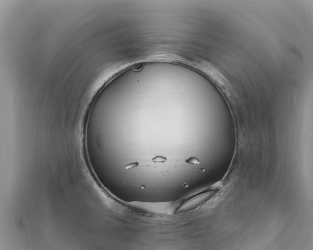 X0000112111430200908181338