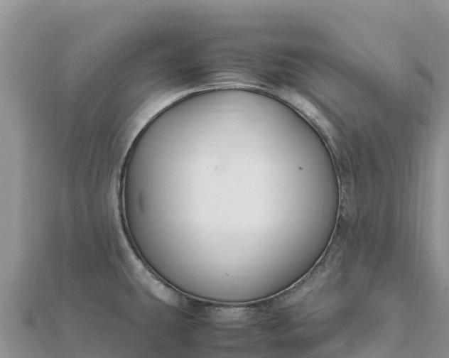 X0000112111431200908181338