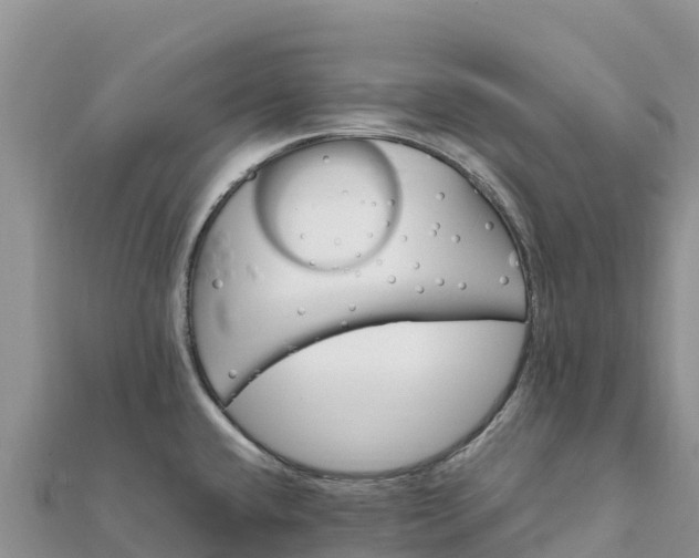 X0000112111432200908181338