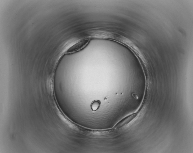 X0000112111433200908181338