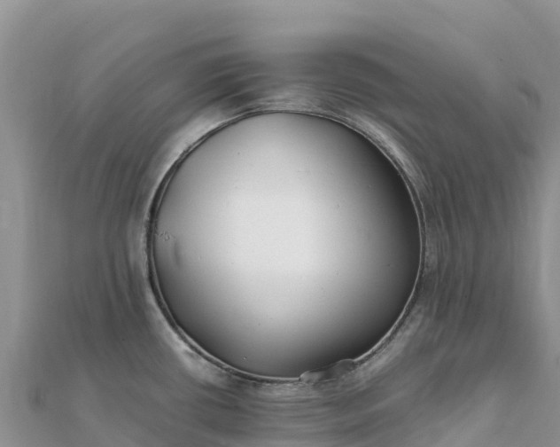 X0000112111434200908181338