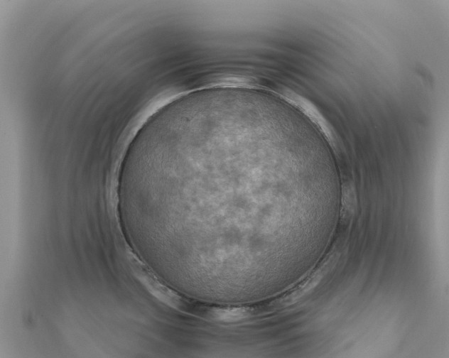 X0000112111435200908181338