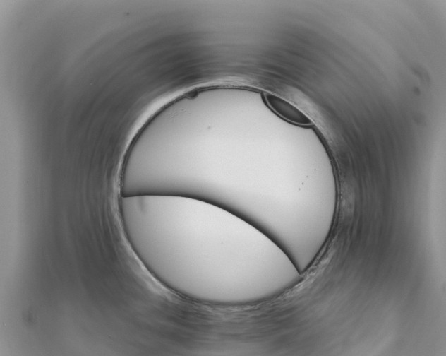 X0000112111436200908181338